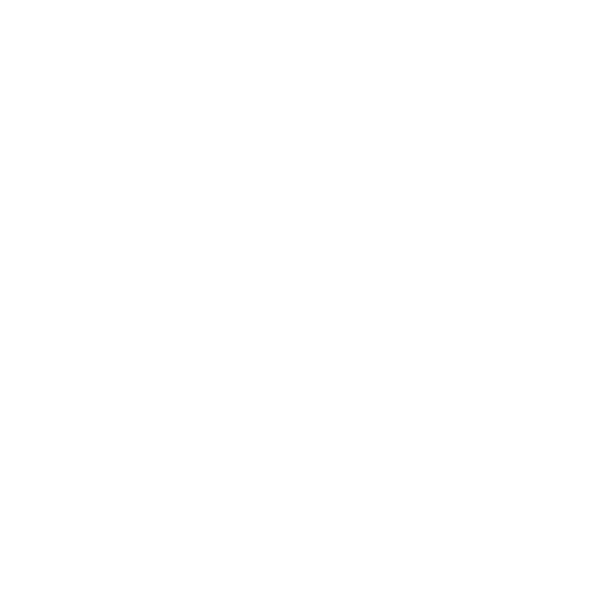 Intron Interactive